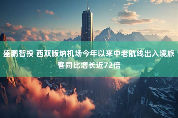 盛鹏智投 西双版纳机场今年以来中老航线出入境旅客同比增长近72倍