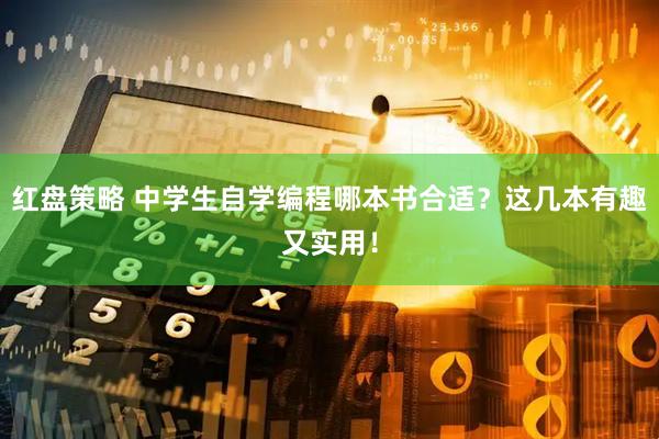 红盘策略 中学生自学编程哪本书合适？这几本有趣又实用！