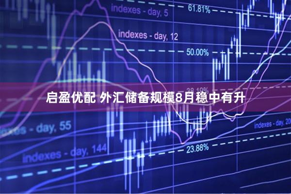 启盈优配 外汇储备规模8月稳中有升
